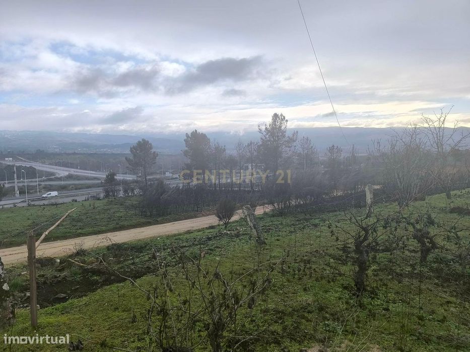 Terreno com vinha e poço - Perto da Zona Industrial de Chaves