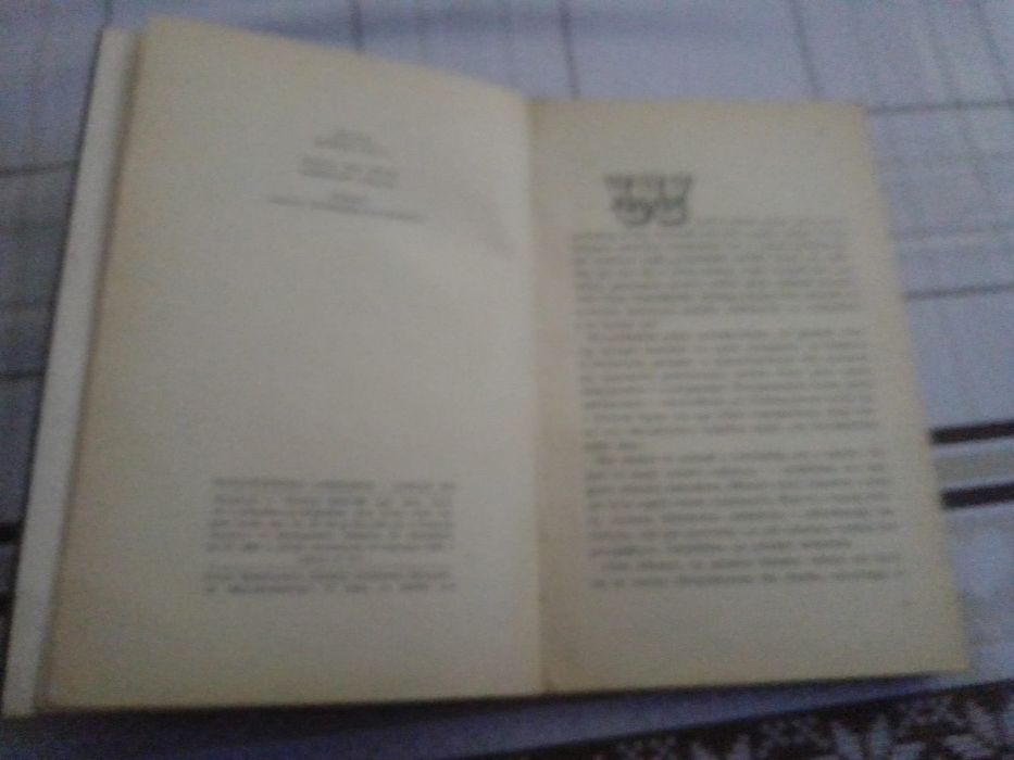 Świerki jak cyprysy.