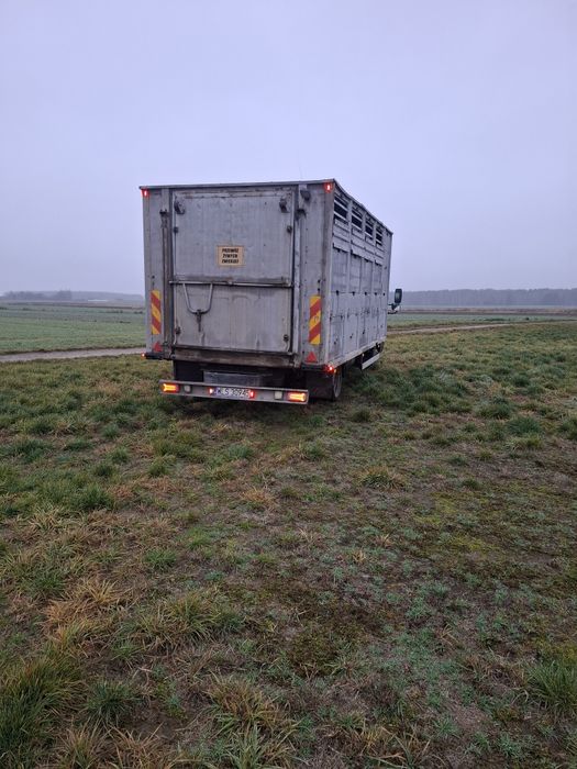 MITSUBISHI do przewozu zwierząt. Żywcówka.