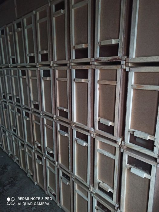 Бджоломатки. Бджолопакети карніка, бакфаст 2025