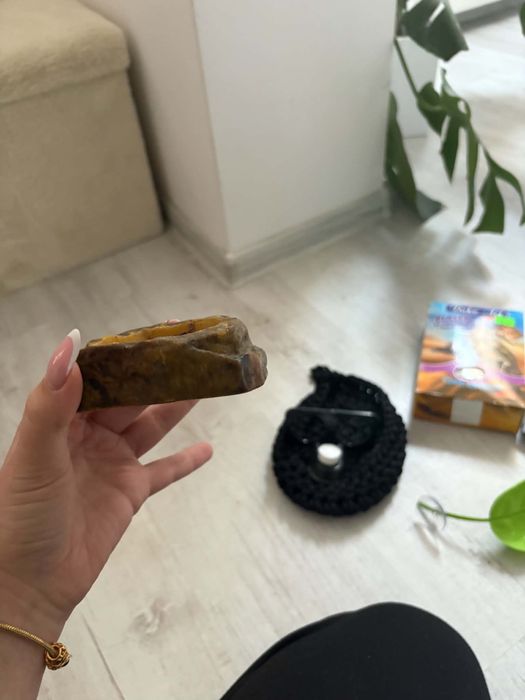 Wyposażone terrarium