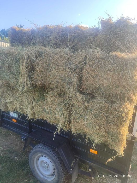 Продам Сіно Люцерни і Солому