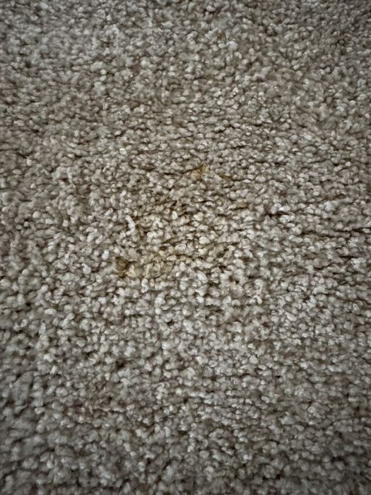 Килим ідеальний 175 см на 120 см