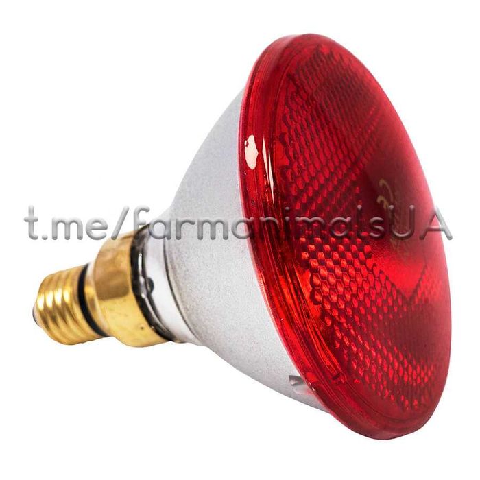 Лампа Інфрачервона ИК-лампы ИНФРАКРАСНАЯ ЛАМПА