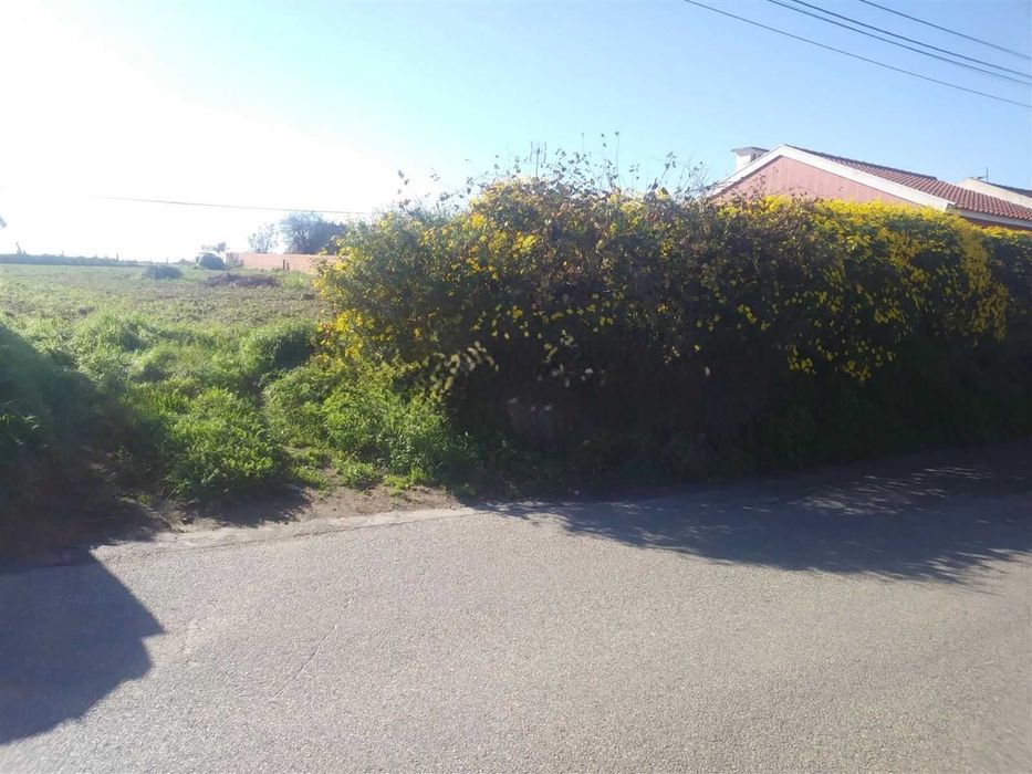 Terreno 1500 M2 - Cacia