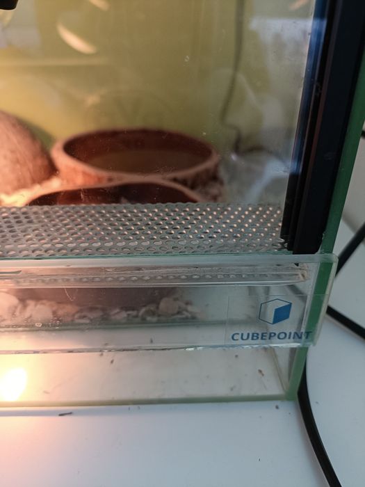 Terrarium małe dla żółwia /gada