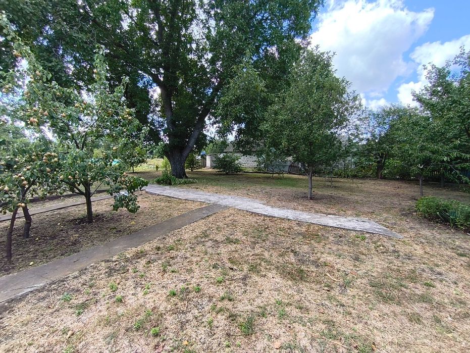 Продаж будинку в Новомиколаївці (зал/ст Верхньодніпровськ)