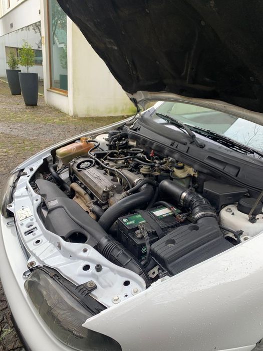 Fiat Bravo503339504465367042