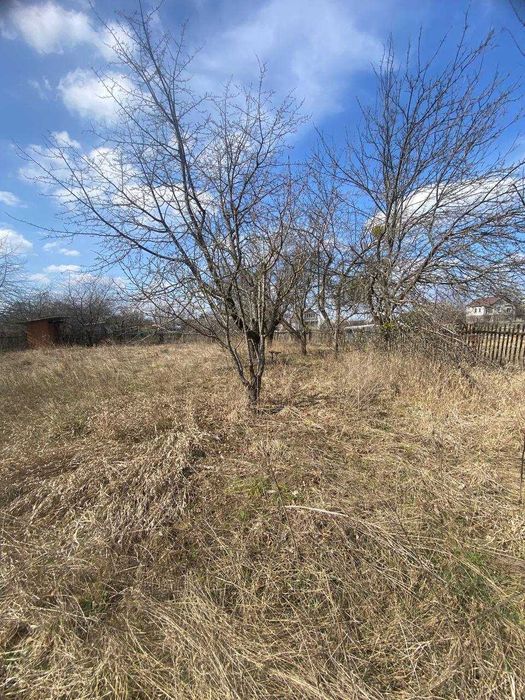 Продам дачу в селі Фурси біля лісу