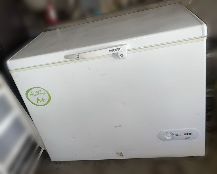 Arca congeladora Becken