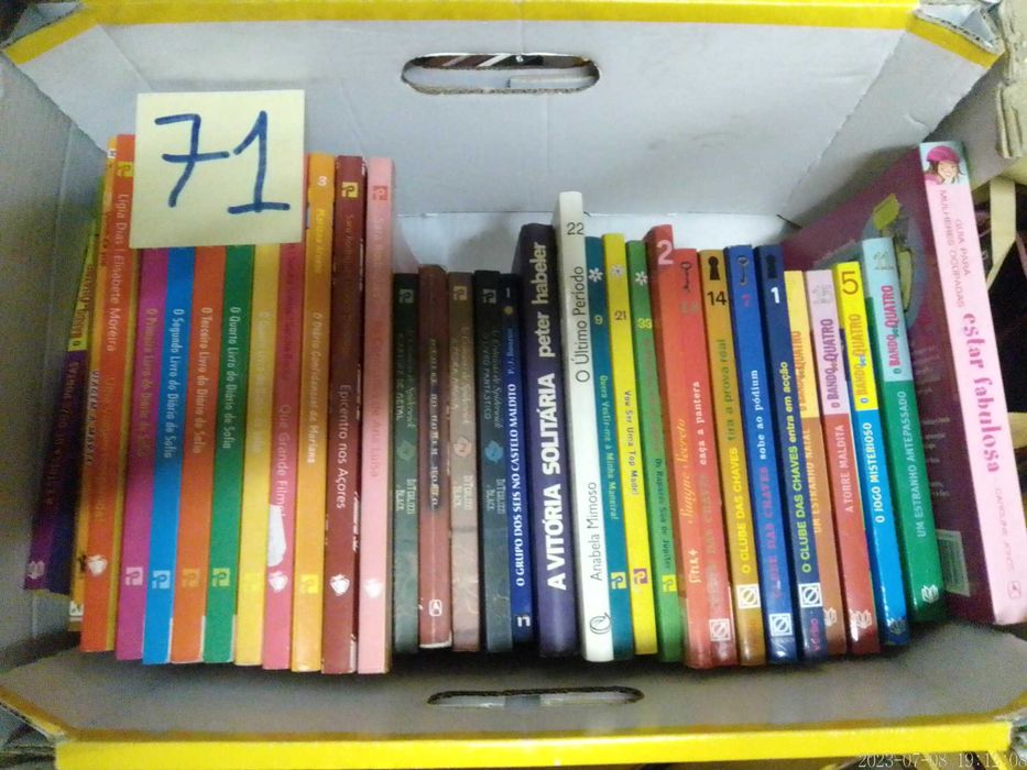 Lote 27 + 71 - LIVROS Diversos - Vendidos EM SEPARADO  a Vários Preços