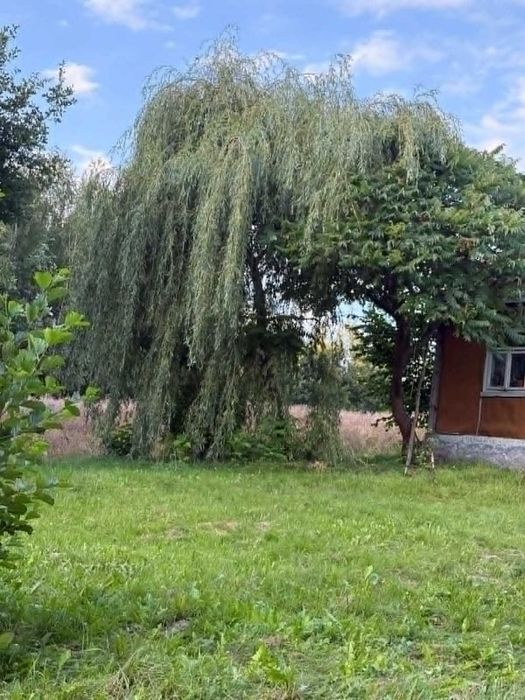 Działka rolno budowlana Węglinek