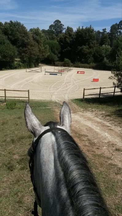 Cavalos a Penso ou Pasto - Espinho/Vila Nova de Gaia