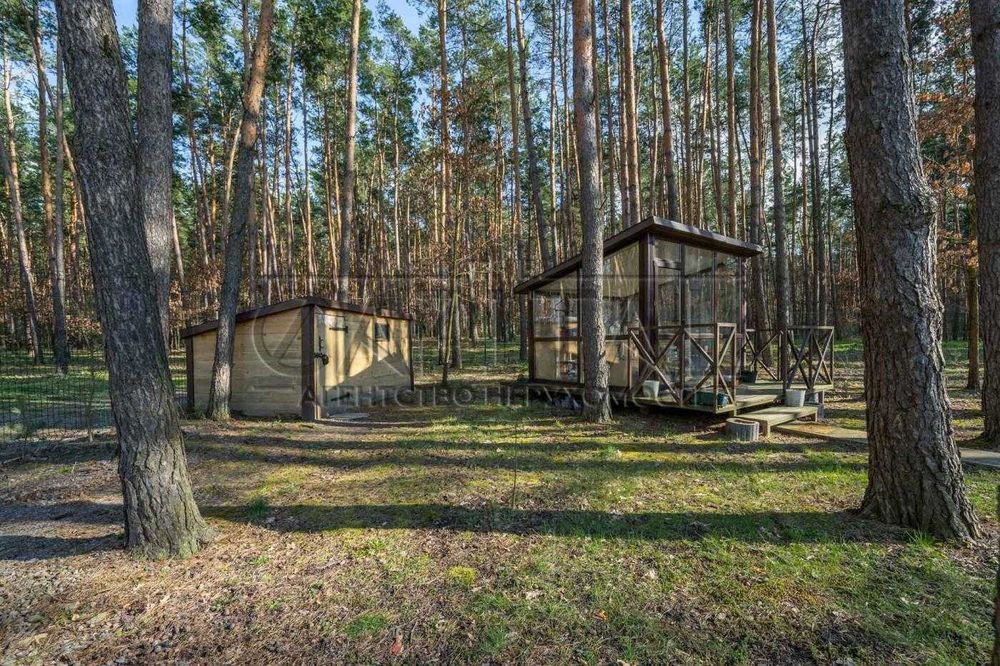 Продажа дома, с. Перевоз, Васильковский р-н