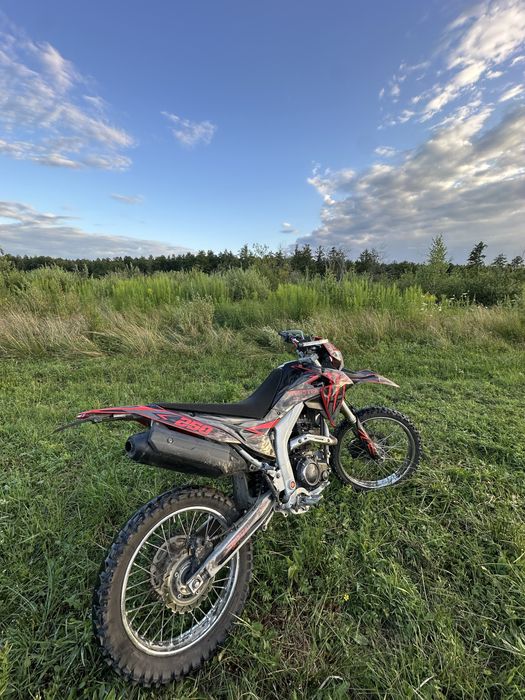 Loncin lx 250 / Лось 250