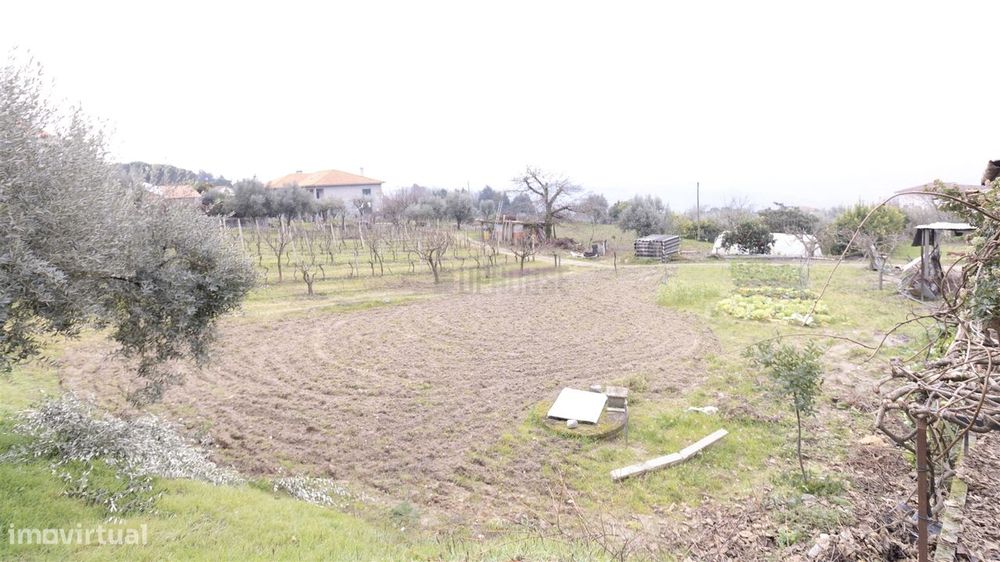 Terreno para Construção - São João de Lourosa