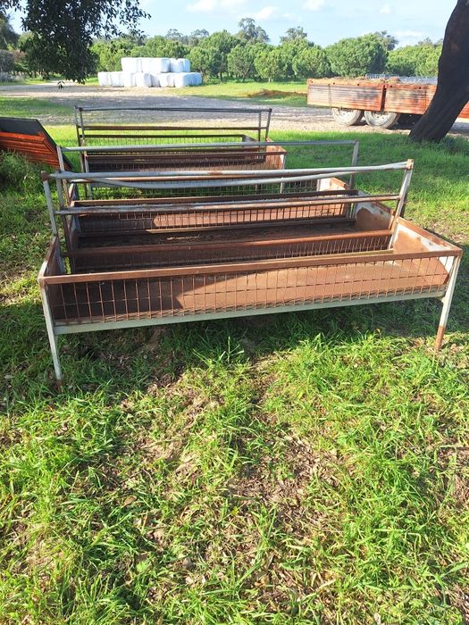 Comedouros para ovelhas