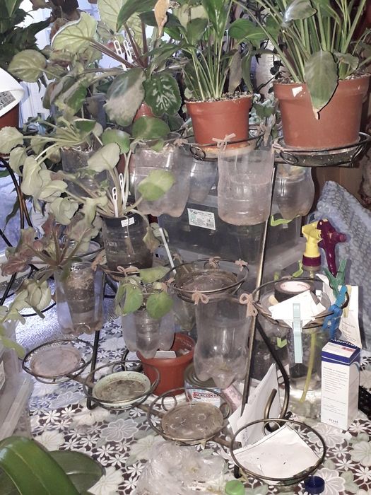 Стойка для квітів