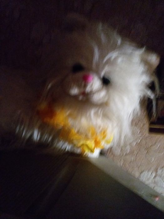 Продаю очень симпотичный