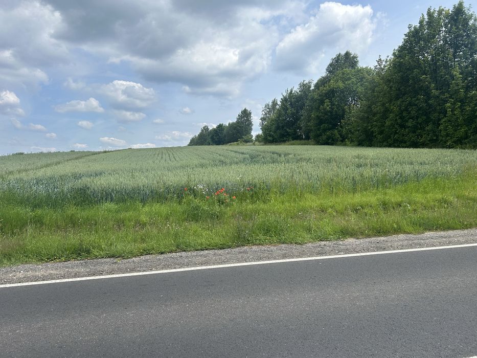 Działka rolna Niegowa/Tomiszowice
