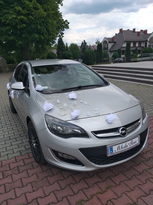 Kierowca bus lotnisko wesele rozwożenie gości transfer