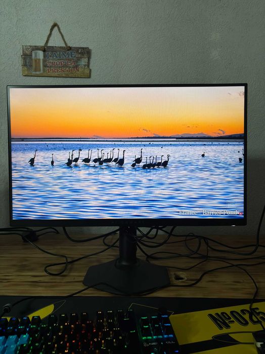 Monitor Dell 27" AW2724HF FHD 360Hz, IPS, 1 MS, G-Sync (2025)