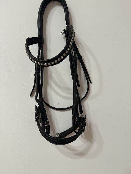 ogłowie, ogłowia sprzet jezdziecki