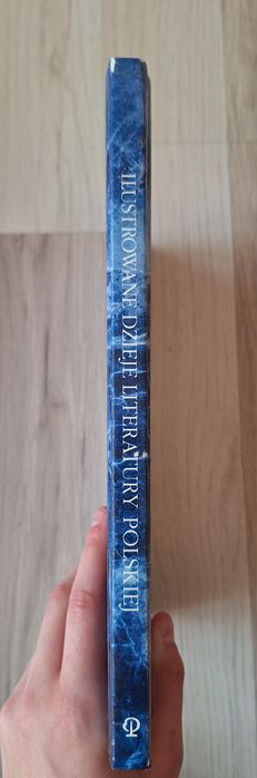 Ilustrowane dzieje literatury polskiej książka