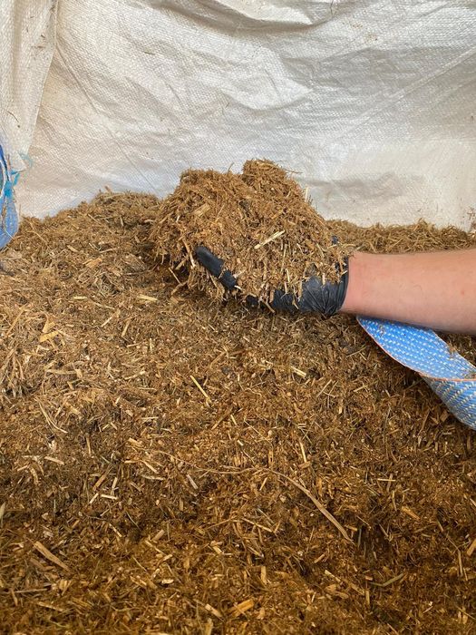 Suchy TMR dla cieląt