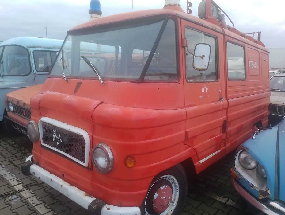 Piękny Żuk (smutek) Super Okaz.