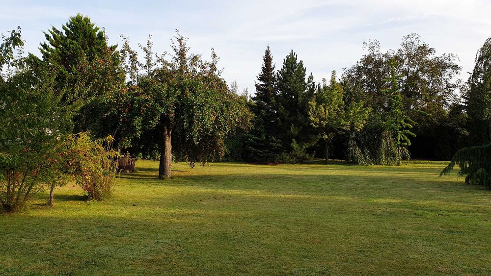 Działka w Kole - Koło - Widok 3