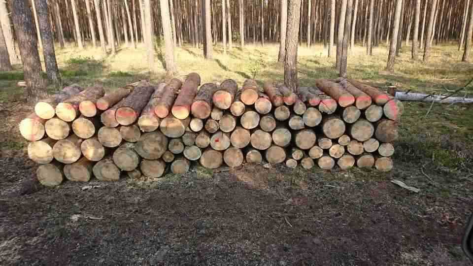 drewno opalowe SUCHE