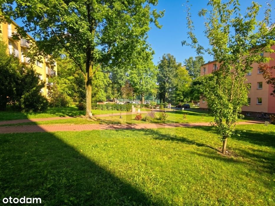 Okazja!!! Uczelnia | 3 Pokoje | Balkon