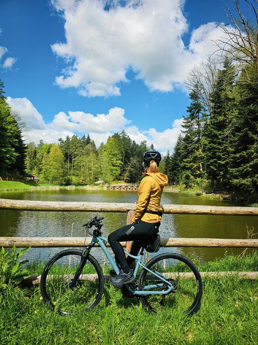 Rower trekkingowy Giant Liv Rove 2 damski