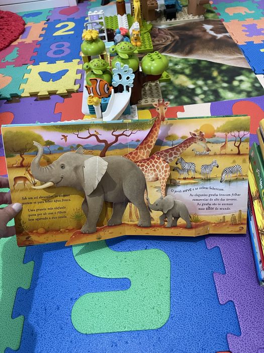 Livro pop-up animais da selva