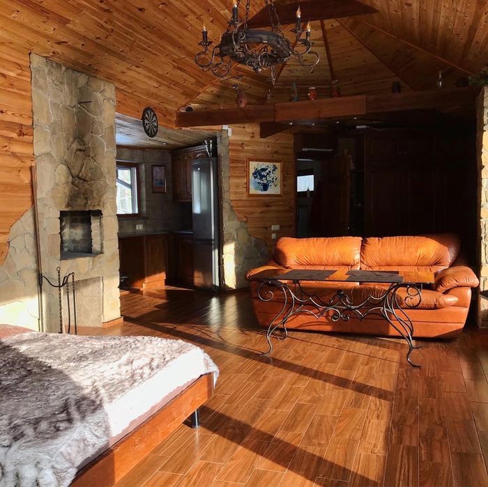 Дом в лесу на озере с камином под Киевом. Всегда есть свет и интернет.