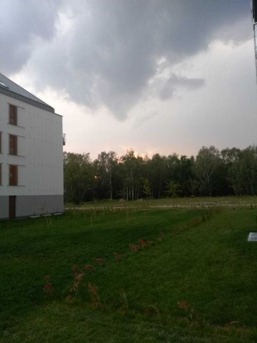 Mieszkanie – Poznań, Strzeszyn - Widok 2