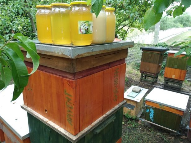 3 słoiki wielokwiatowy