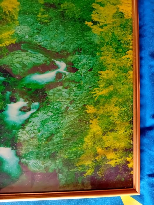 Quadro Decorativo