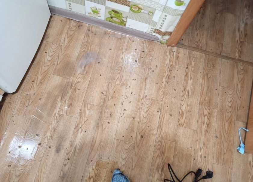 Обработка от тараканов профессиональная дезинфекция помещений