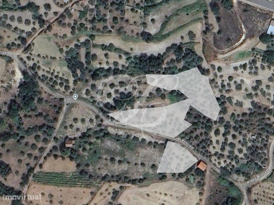 Terreno 4.636m2 | Castelo Branco