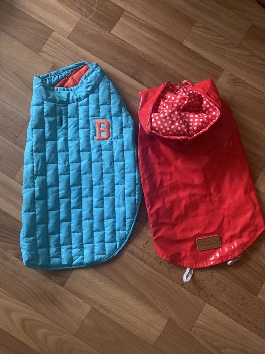 Одяг  на собак  шлеі.