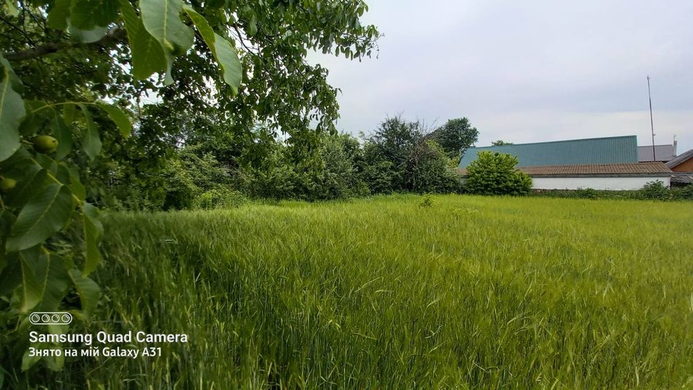 Продам цегляний будинок у с. Зороків 17км. від Житомира