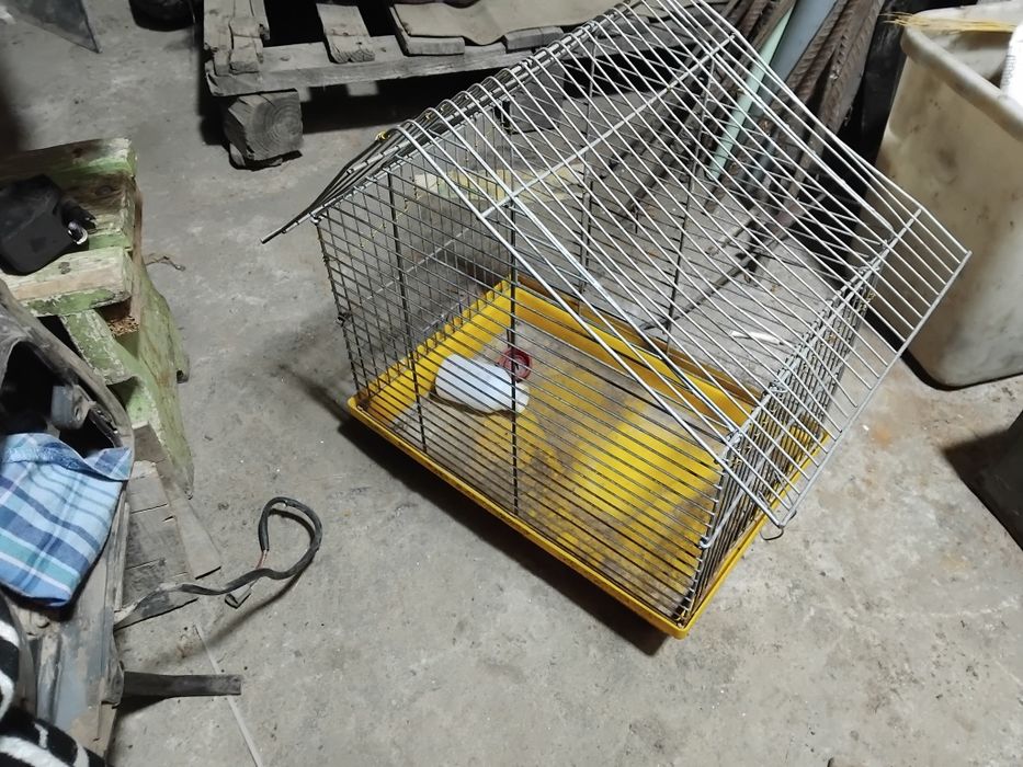 Клітка для хом'яка