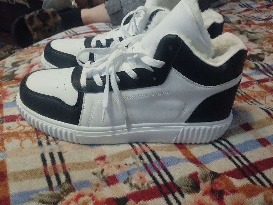 Зимові красовки.