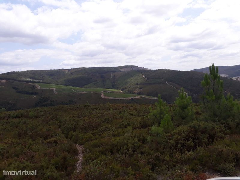 Terreno / Quinta , Penafiel, perto do Porto, 8000 m2, 20 000€ — Lagares E Figueira, Porto