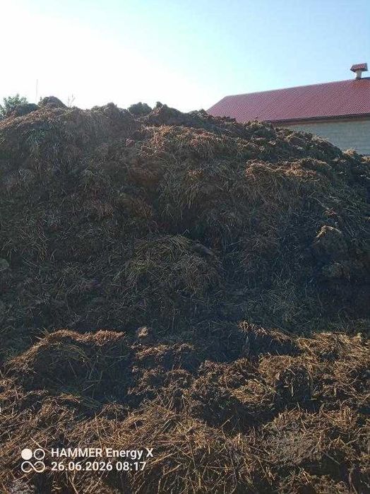 Sprzedam obornik bydlęcy