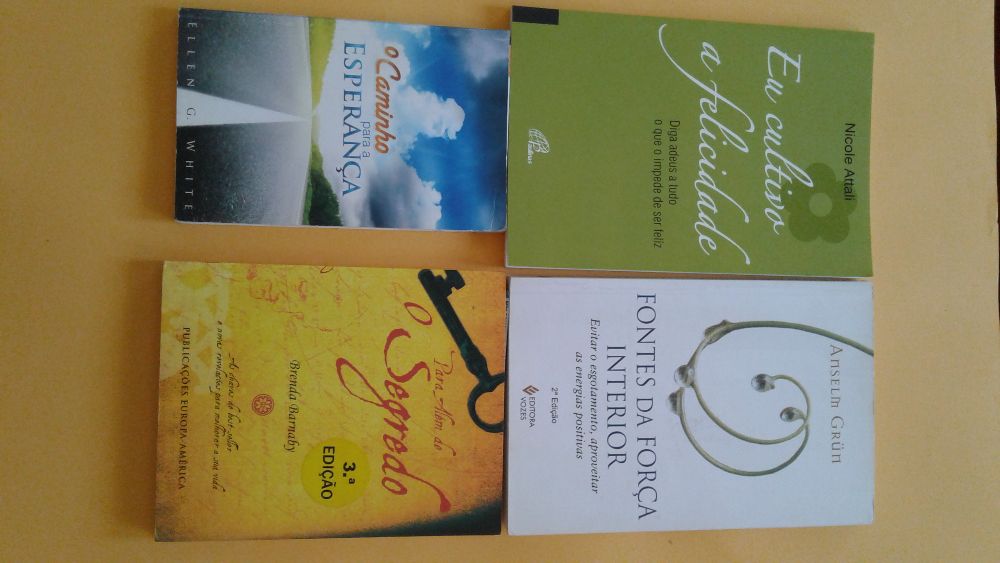Livros de autoajuda ( O livro da alma, O Segredo etc)