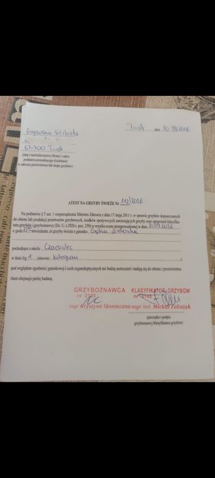 Grzyby marynowane maślak, gąski, grzyby suszone