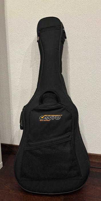 Gitara Stagg C542